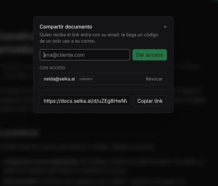 Seika AI: Image Email input